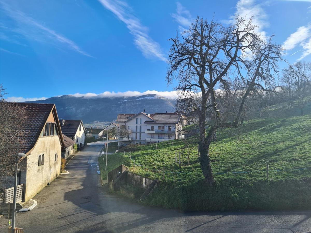 Ferme De La Gibussiere Appartement Presilly  Buitenkant foto